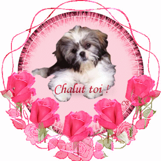 bonsoir les amis