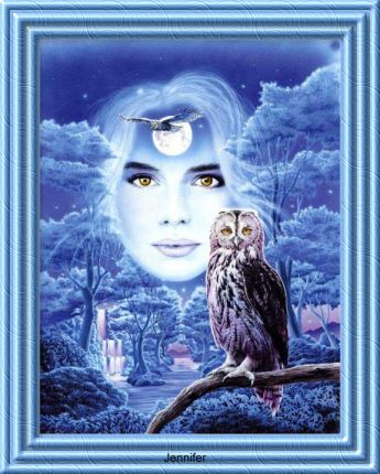 hibou