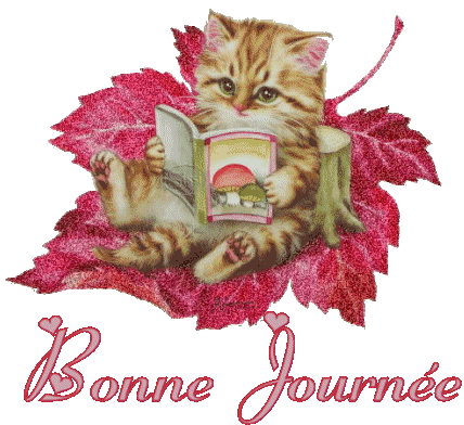 chat